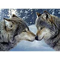 Kit de pintura de diamantes 5D con dos lobos- 5D diamond painting bordado de diamantes de imitación-cuadros punto de…